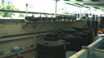 自動加藥系統 嘉怡工業自動加藥系統 – 精準投藥裝置與藥液桶,提升廢水處理穩定性